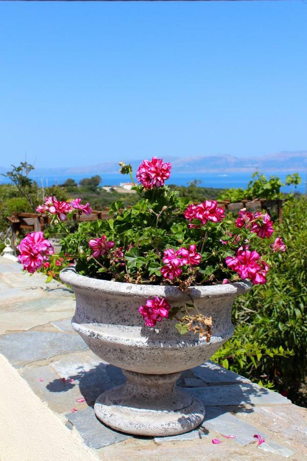 Walnut Tree Farm Villa Agia Anastasia Buitenkant foto