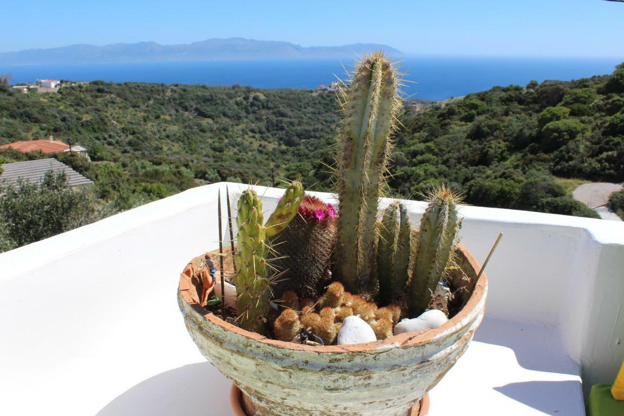 Walnut Tree Farm Villa Agia Anastasia Buitenkant foto